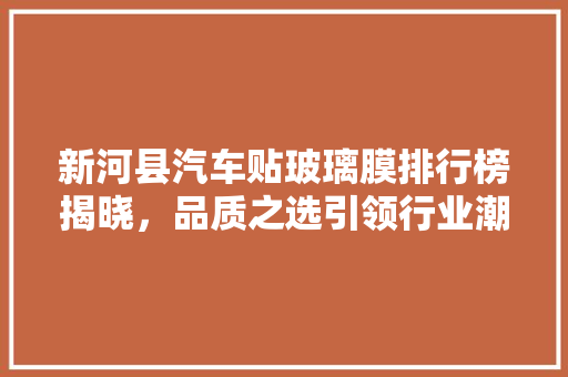 新河县汽车贴玻璃膜排行榜揭晓，品质之选引领行业潮流 车载导航