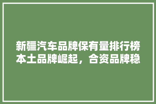 新疆汽车品牌保有量排行榜本土品牌崛起，合资品牌稳居前列