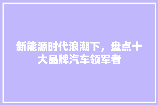 新能源时代浪潮下，盘点十大品牌汽车领军者