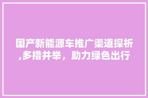 国产新能源车推广渠道探析,多措并举，助力绿色出行