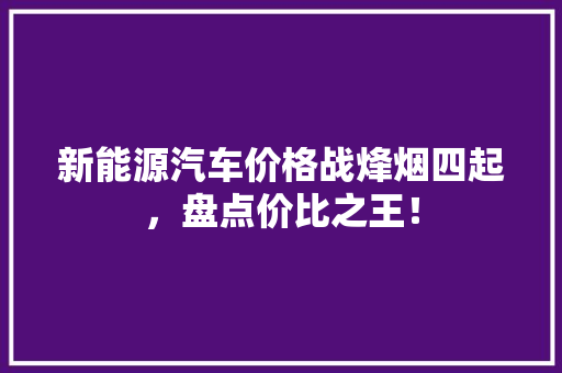 新能源汽车价格战烽烟四起，盘点价比之王！