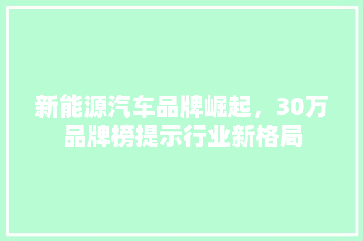 新能源汽车品牌崛起，30万品牌榜提示行业新格局