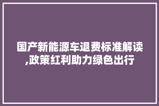 国产新能源车退费标准解读,政策红利助力绿色出行 智能驾驶