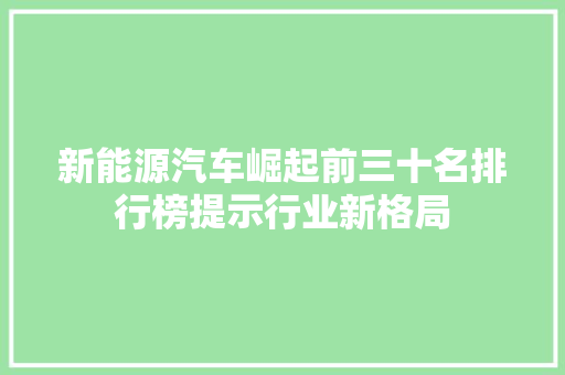 新能源汽车崛起前三十名排行榜提示行业新格局