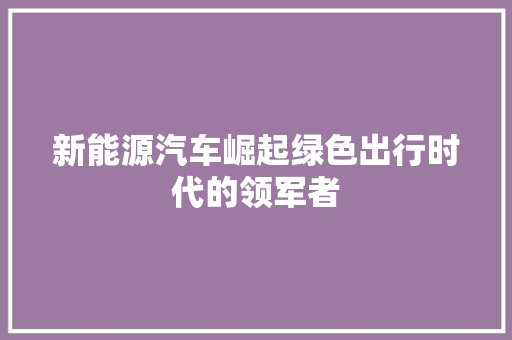 新能源汽车崛起绿色出行时代的领军者