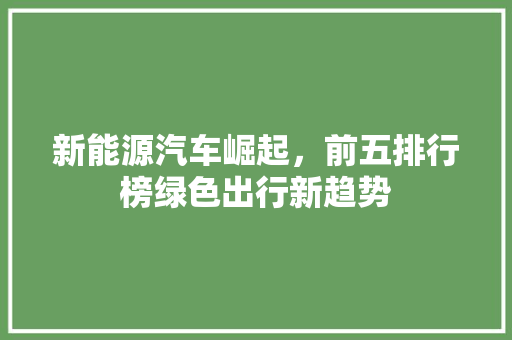 新能源汽车崛起，前五排行榜绿色出行新趋势