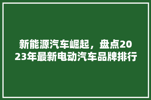 新能源汽车崛起，盘点2023年最新电动汽车品牌排行榜