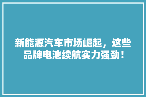 新能源汽车市场崛起，这些品牌电池续航实力强劲！