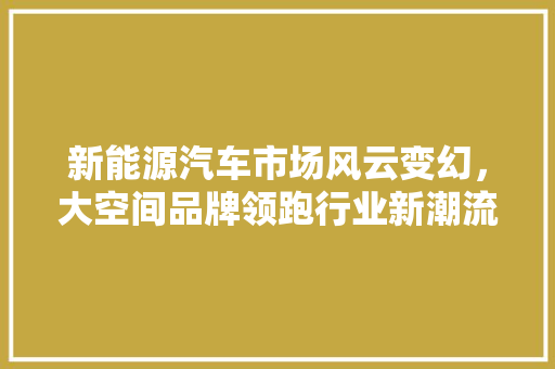 新能源汽车市场风云变幻，大空间品牌领跑行业新潮流