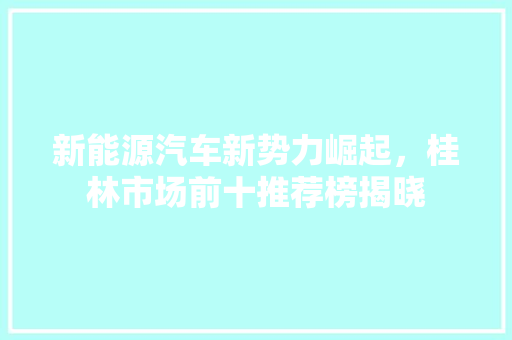 新能源汽车新势力崛起，桂林市场前十推荐榜揭晓 车载导航