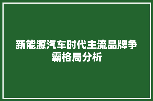 新能源汽车时代主流品牌争霸格局分析