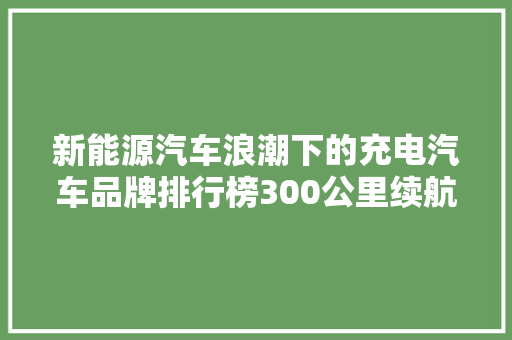 新能源汽车浪潮下的充电汽车品牌排行榜300公里续航，引领未来出行 汽车展览