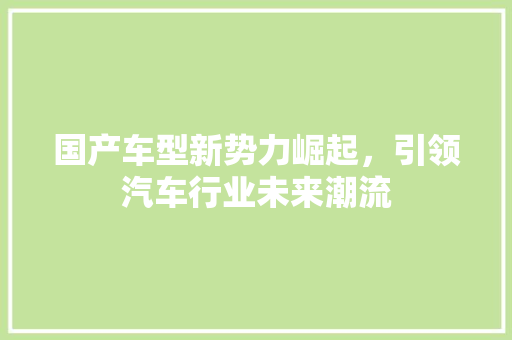 国产车型新势力崛起，引领汽车行业未来潮流