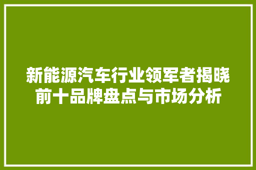 新能源汽车行业领军者揭晓前十品牌盘点与市场分析