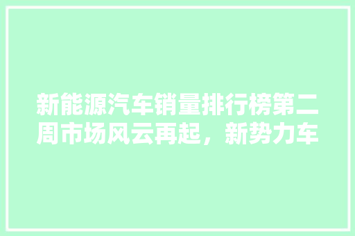 新能源汽车销量排行榜第二周市场风云再起，新势力车型强势崛起