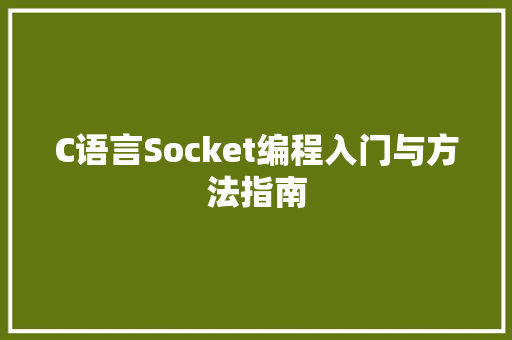 C语言Socket编程入门与方法指南