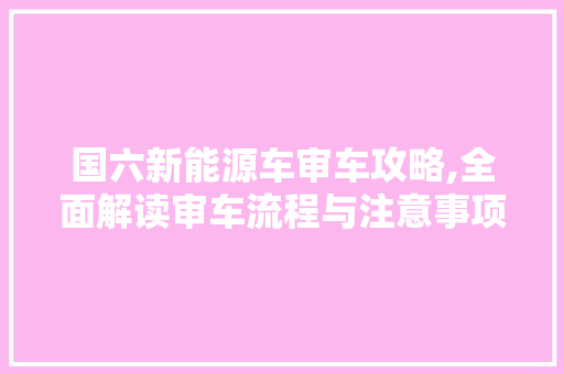 国六新能源车审车攻略,全面解读审车流程与注意事项 新车资讯
