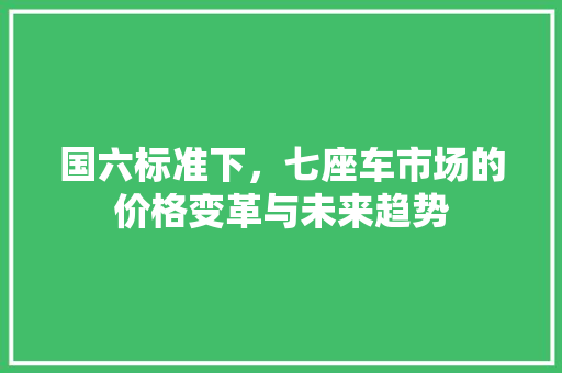 国六标准下，七座车市场的价格变革与未来趋势