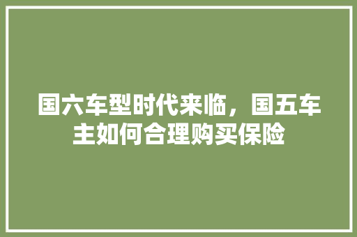 国六车型时代来临，国五车主如何合理购买保险 汽车轮胎