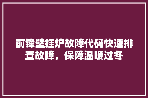 前锋壁挂炉故障代码快速排查故障，保障温暖过冬