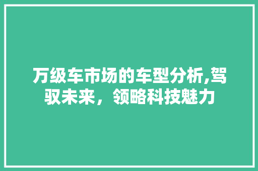 万级车市场的车型分析,驾驭未来，领略科技魅力