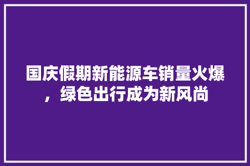 国庆假期新能源车销量火爆，绿色出行成为新风尚 车载导航
