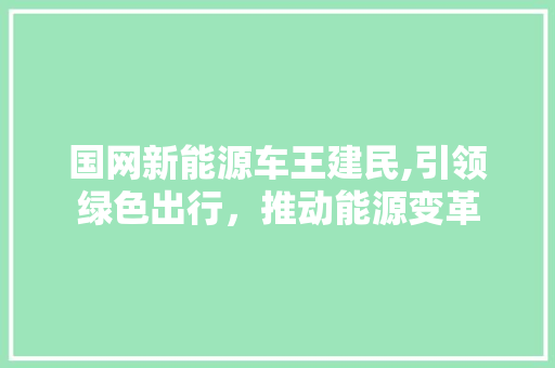 国网新能源车王建民,引领绿色出行，推动能源变革