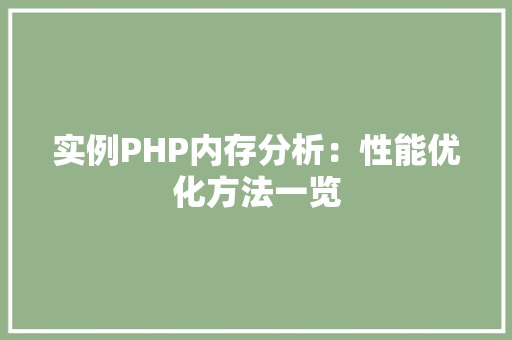 实例PHP内存分析：性能优化方法一览