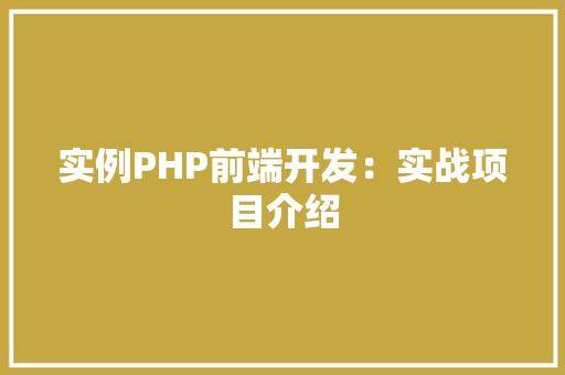 实例PHP前端开发：实战项目介绍