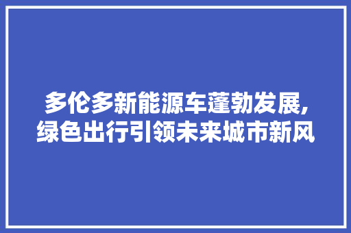 多伦多新能源车蓬勃发展,绿色出行引领未来城市新风尚 汽车保养