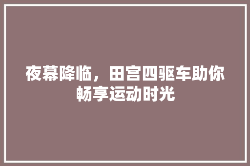 夜幕降临，田宫四驱车助你畅享运动时光 汽车配件