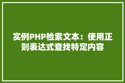 实例PHP检索文本：使用正则表达式查找特定内容