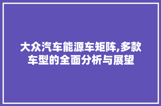大众汽车能源车矩阵,多款车型的全面分析与展望 智能驾驶