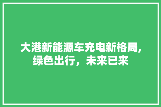 大港新能源车充电新格局,绿色出行，未来已来