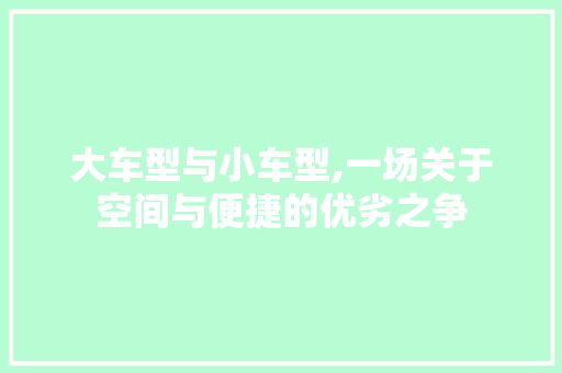 大车型与小车型,一场关于空间与便捷的优劣之争