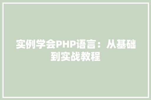 实例学会PHP语言：从基础到实战教程