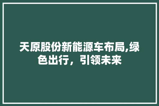 天原股份新能源车布局,绿色出行，引领未来 汽车配件