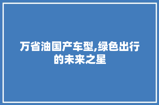 万省油国产车型,绿色出行的未来之星