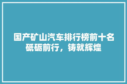 国产矿山汽车排行榜前十名砥砺前行，铸就辉煌
