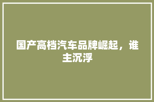 国产高档汽车品牌崛起，谁主沉浮