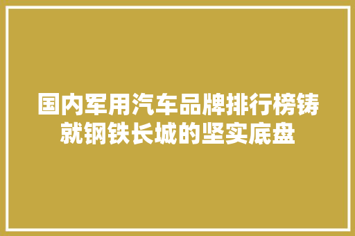 国内军用汽车品牌排行榜铸就钢铁长城的坚实底盘 车载导航