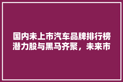 国内未上市汽车品牌排行榜潜力股与黑马齐聚，未来市场格局将如何演变
