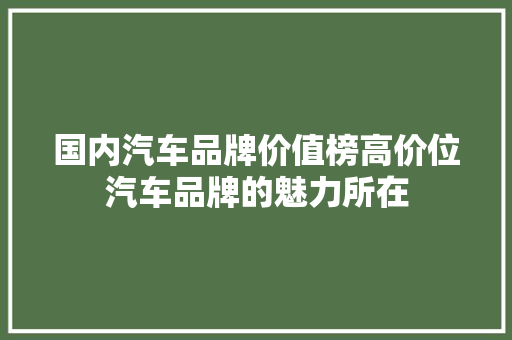 国内汽车品牌价值榜高价位汽车品牌的魅力所在
