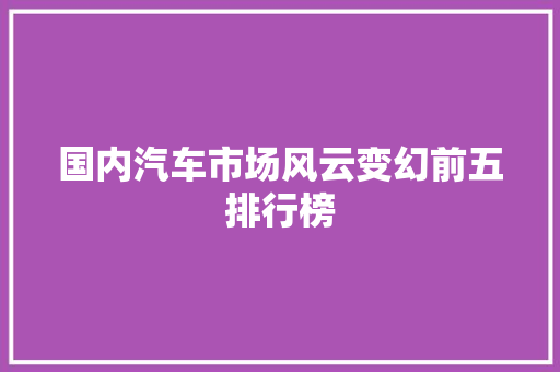 国内汽车市场风云变幻前五排行榜