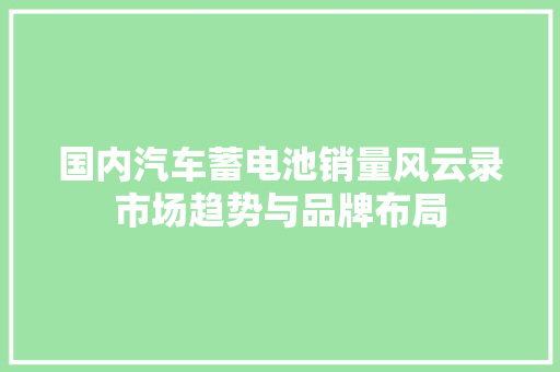 国内汽车蓄电池销量风云录市场趋势与品牌布局