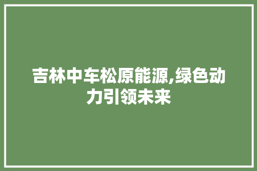 吉林中车松原能源,绿色动力引领未来 汽车轮胎