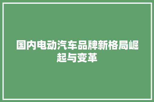 国内电动汽车品牌新格局崛起与变革