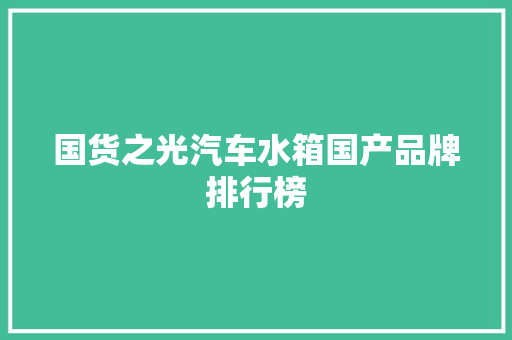 国货之光汽车水箱国产品牌排行榜