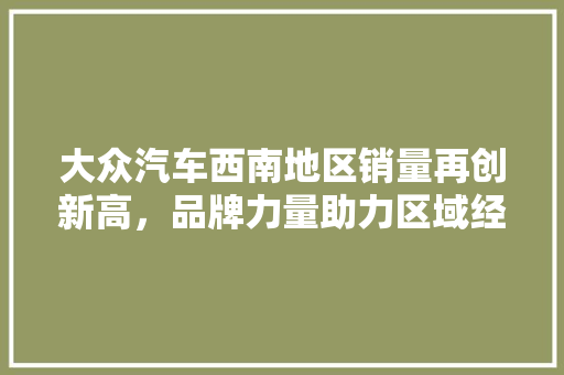大众汽车西南地区销量再创新高，品牌力量助力区域经济发展 汽车保养