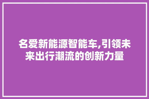 名爱新能源智能车,引领未来出行潮流的创新力量 自动驾驶